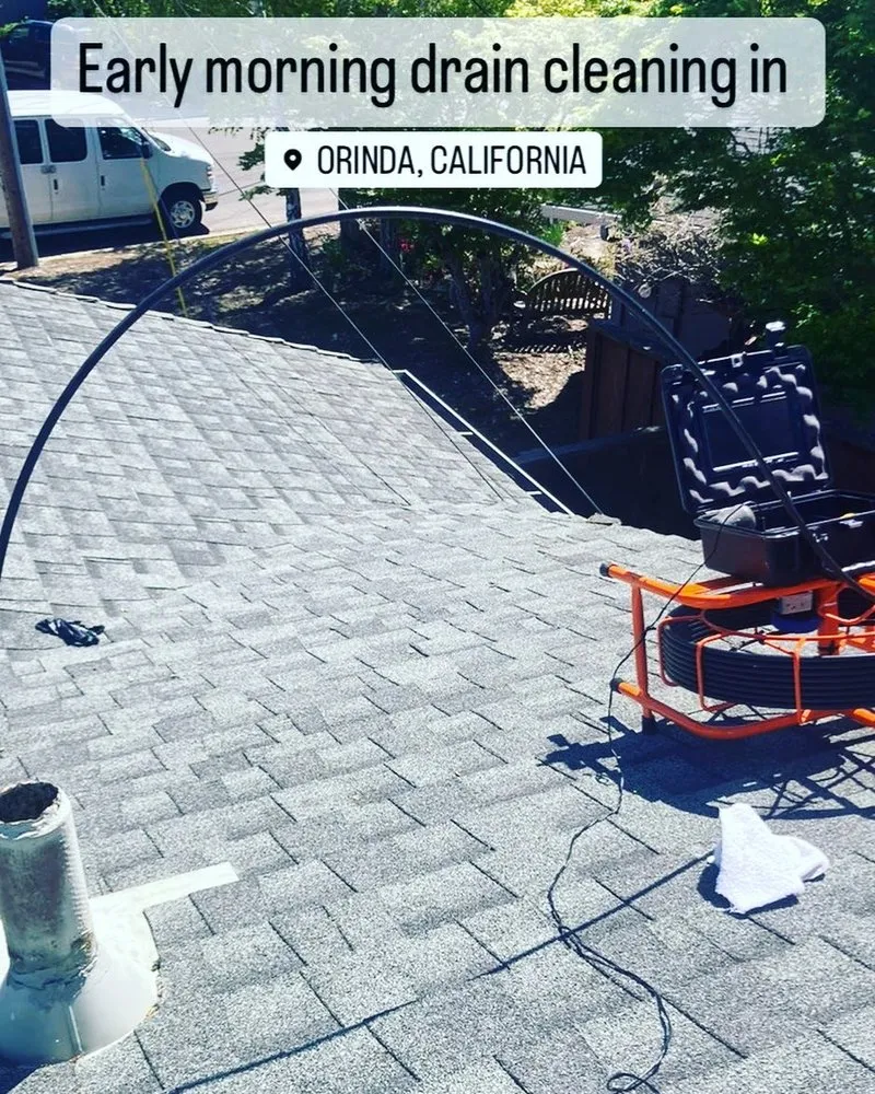 Slide of Grizzly Bear Plumbing