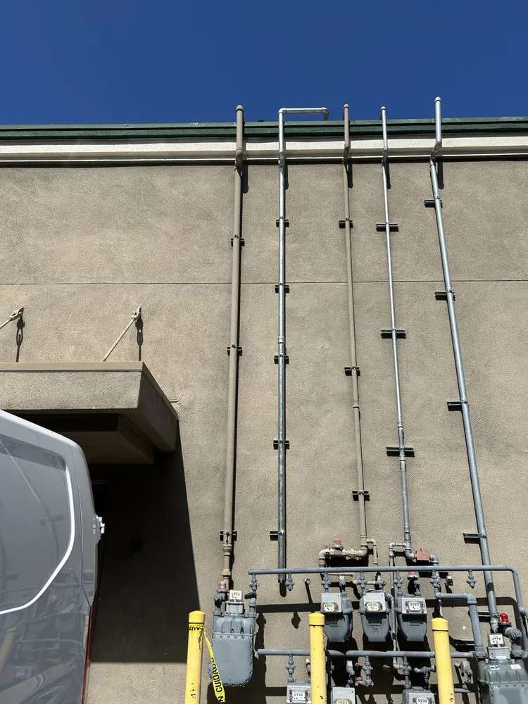 Slide of Grizzly Bear Plumbing