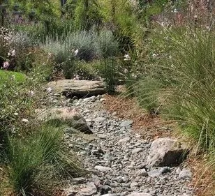 Slide of Grooms Irrigation
