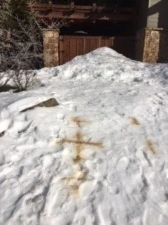 Guaranteed Leak Detection Logo