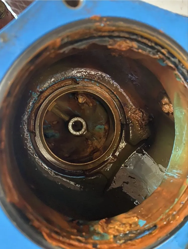 Slide of Guardian Backflow Testing