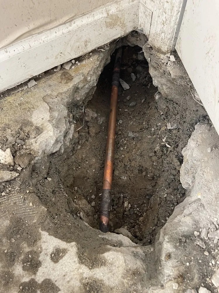Expert drain cleaning experts serving San Fernando Valley, CA - Guardian Plumbing & Rooter