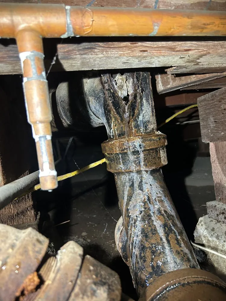 Affordable leak detection for homes in San Fernando Valley, CA by Guardian Plumbing & Rooter
