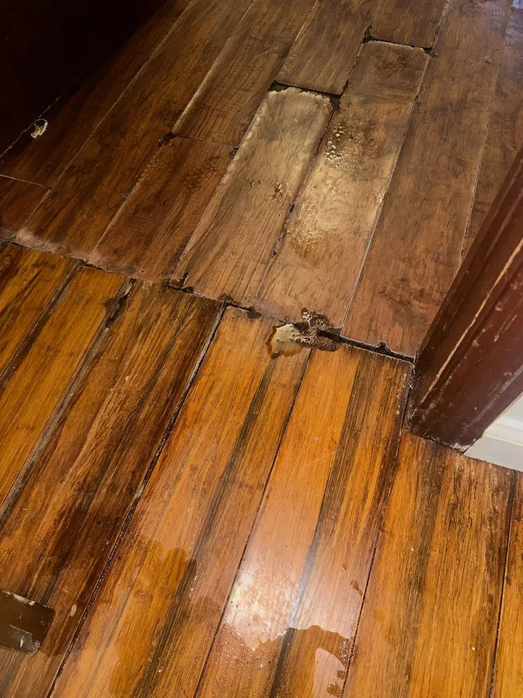 Slide of Guardian Sewers