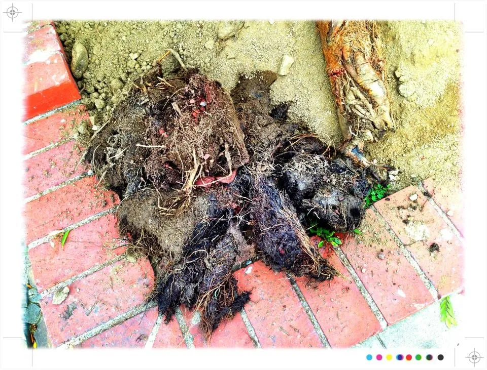 Slide of Guerra Plumbing