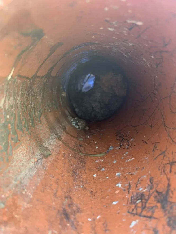 Reliable drain cleaning experts serving Los Angeles, CA - Guerreros Plumbing Service