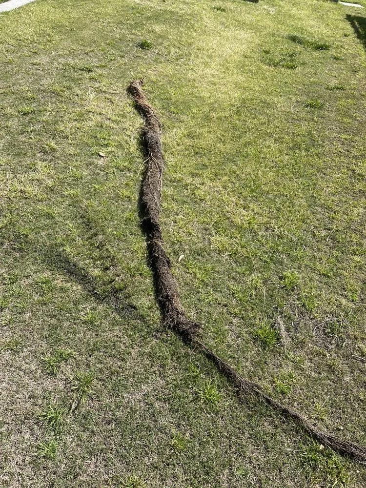 Slide of Guillen's Plumbing and Drain Specialist