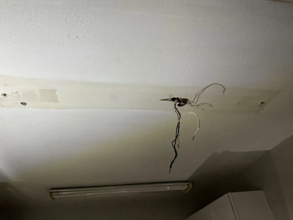 Slide of Guss Commercial & Residential Maintenance