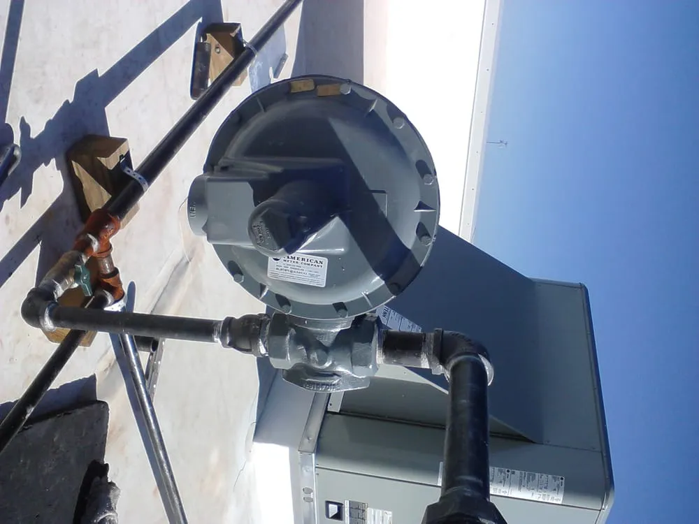 Slide of H2O Rooter Doctor