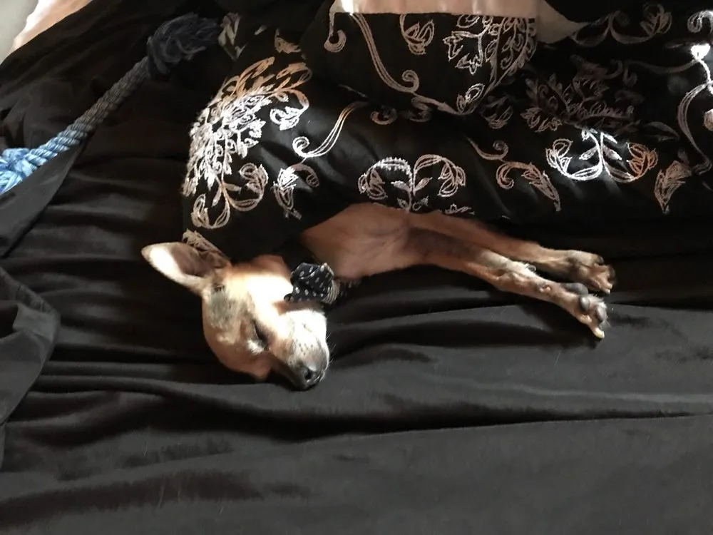 Slide of Habit Plumbing