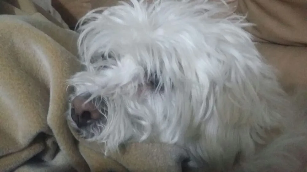 Slide of Habit Plumbing