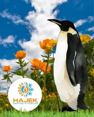 Hajek Heating & Cooling