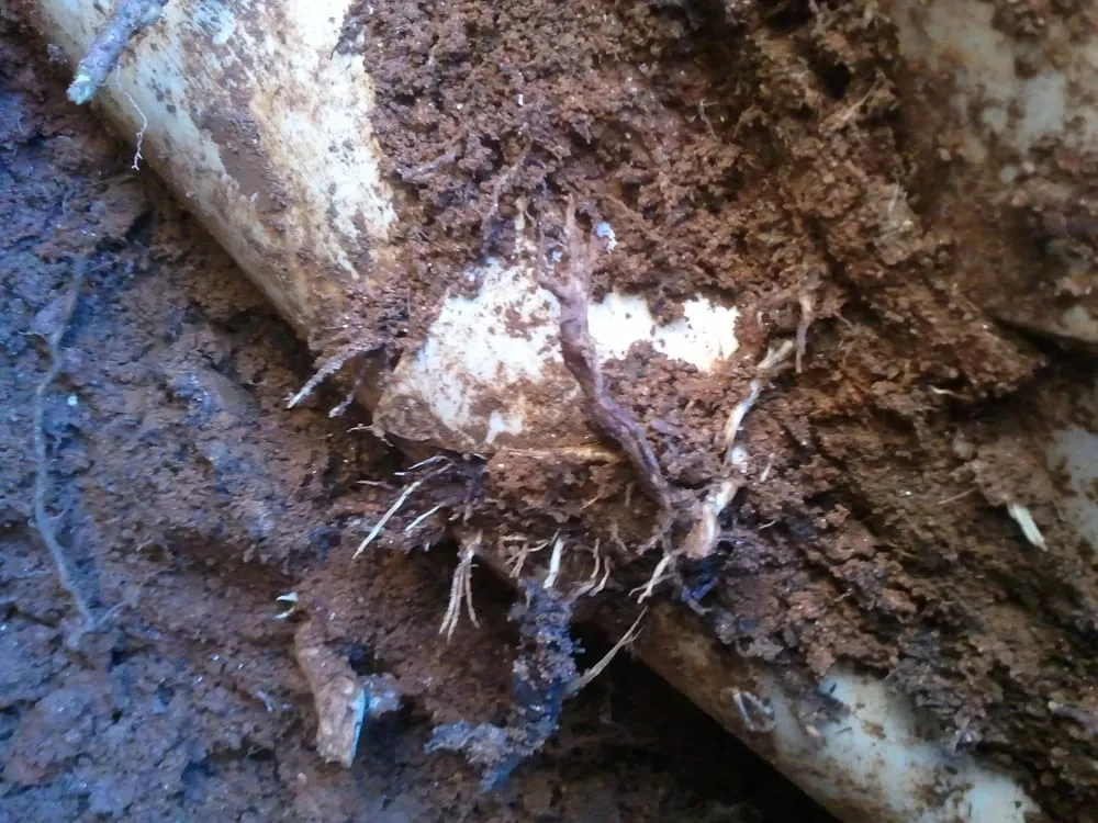 Slide of Halcomb Plumbing