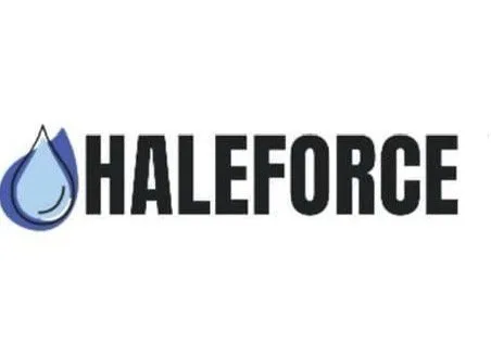 Slide of Haleforce Services