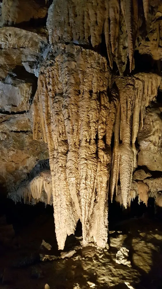 Slide of Half Price Plumbing