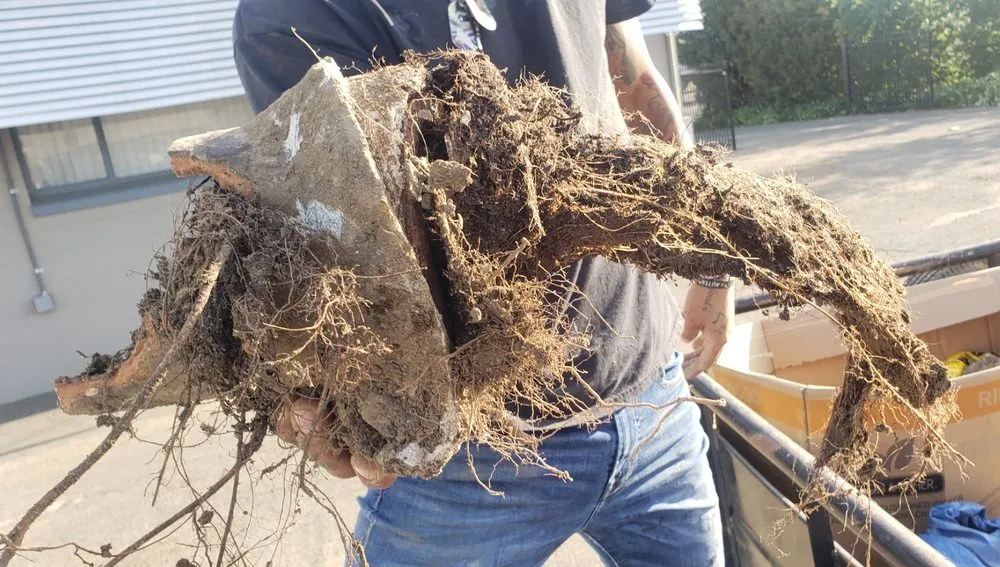 Emergency pipe repair in Woodland, CA by Hall's Plumbing