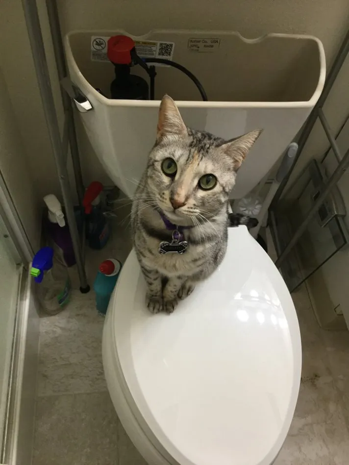 Slide of Hall's Plumbing