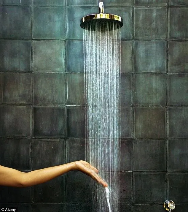 Slide of Halty's Plumbing