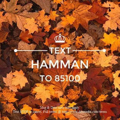 Hamman Services Logo