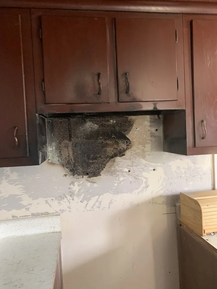 Slide of Hammock’s Restoration