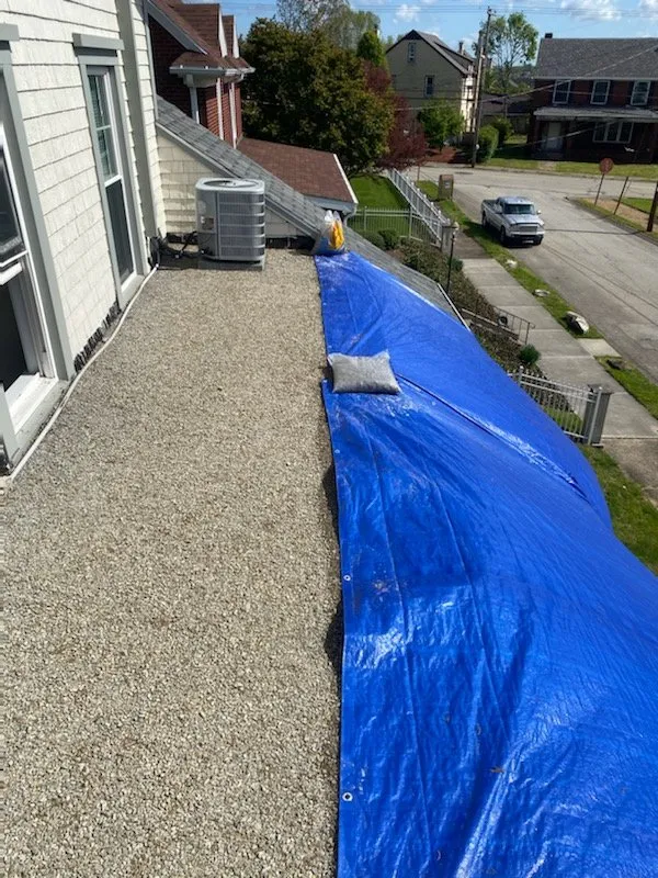 Slide of Hammock’s Restoration