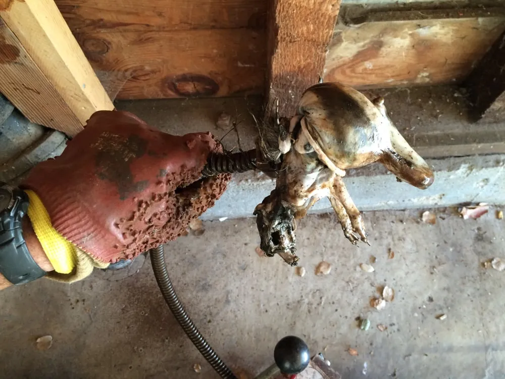 Slide of Hamzeh Plumbing