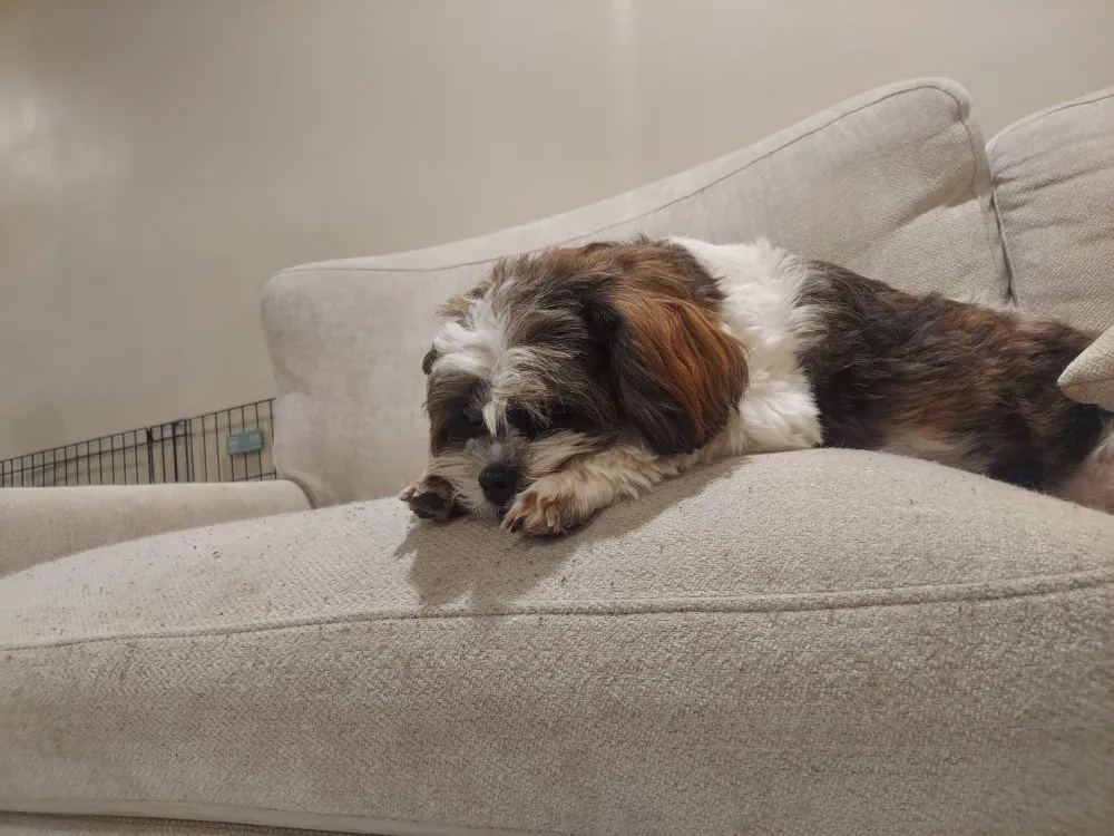 Slide of Han Kook Plumbing