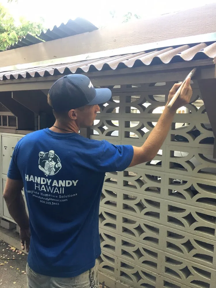 Slide of Handy Andy Hawaii