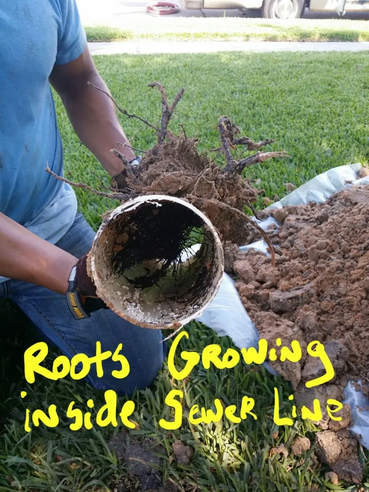 Slide of Handy Andy Plumbing