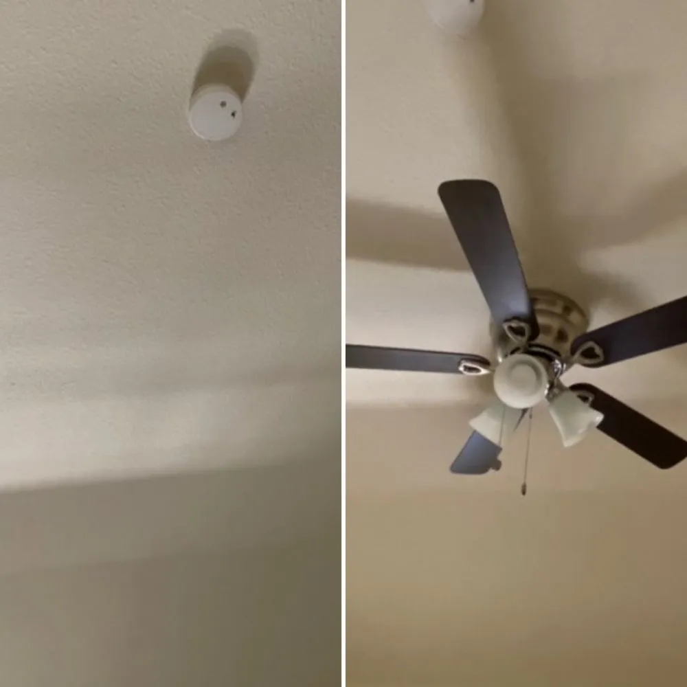 Slide of Handy Bandi