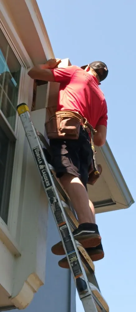 Slide of Handy Heltons