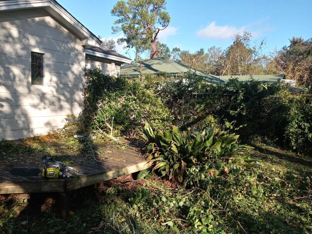 Reliable drain cleaning service in Jackson, MS - Handy I Faceco