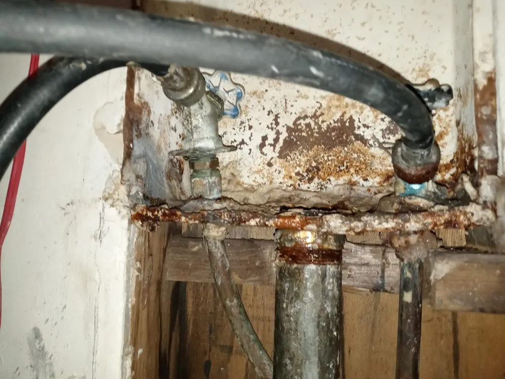 Slide of Handy I Faceco