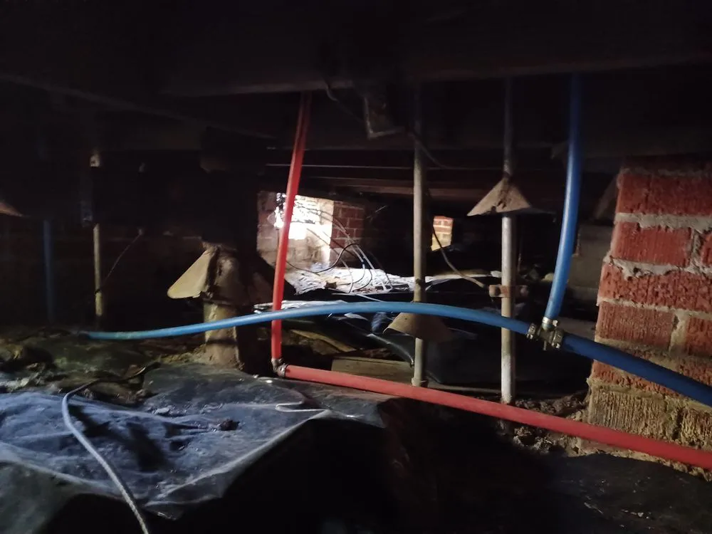 Slide of Handy I Faceco