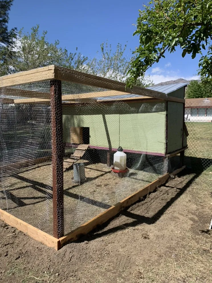 Slide of Handy Sandy