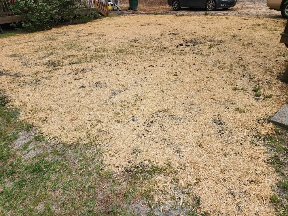 Slide of Handy Solutions