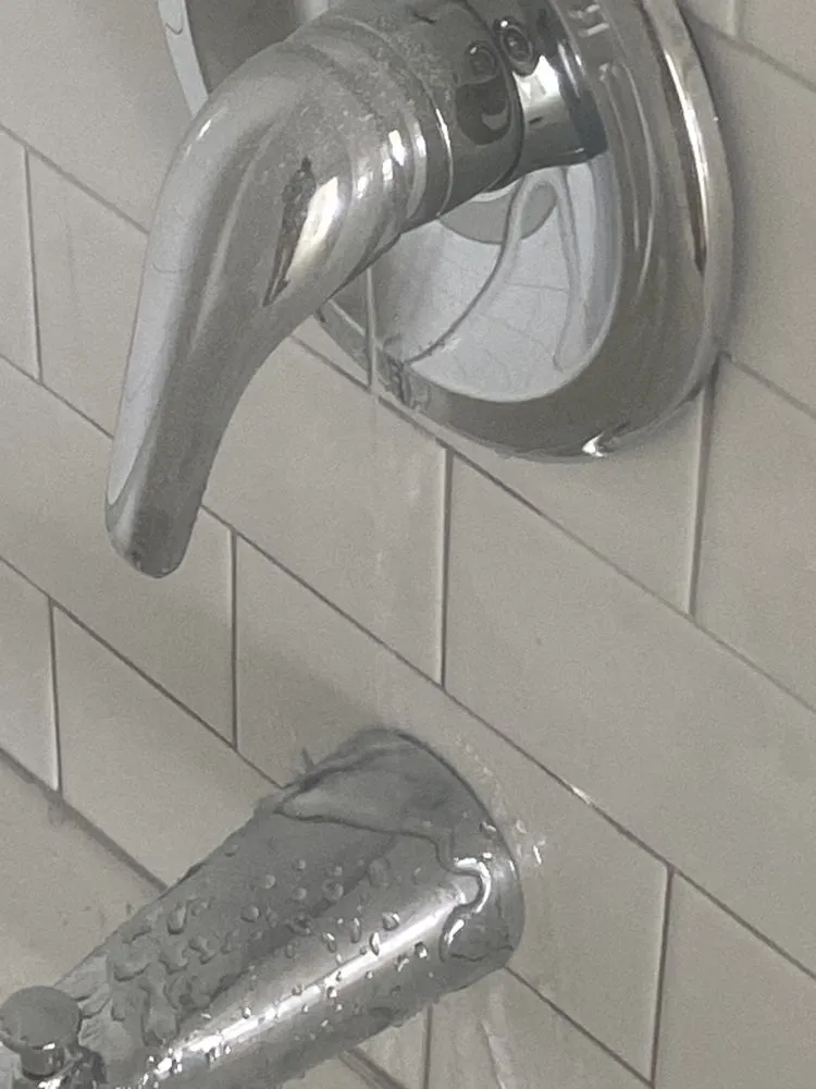 Slide of Handy Steppers