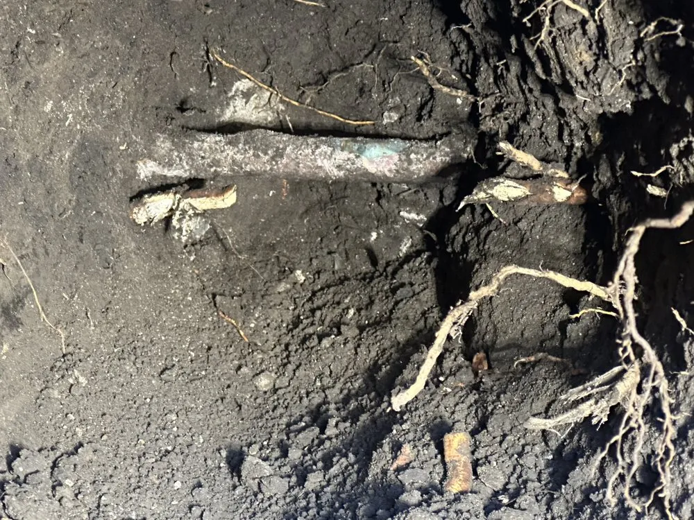 Slide of Handy Teddy