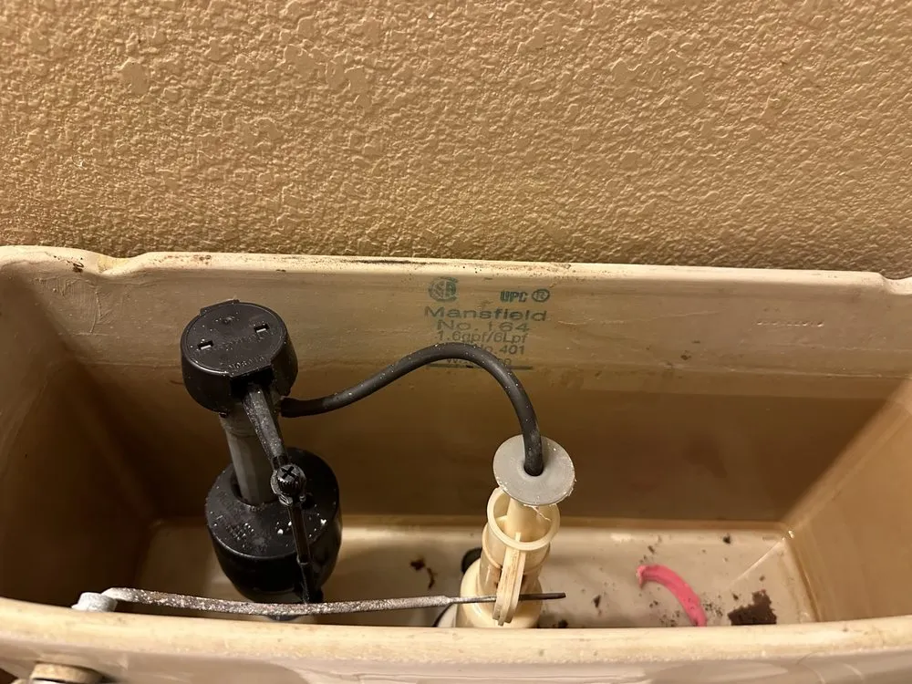 Slide of Handy Teddy