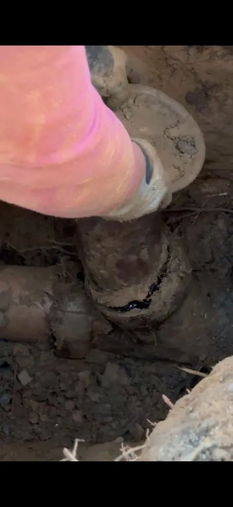 Slide of Handy Teddy