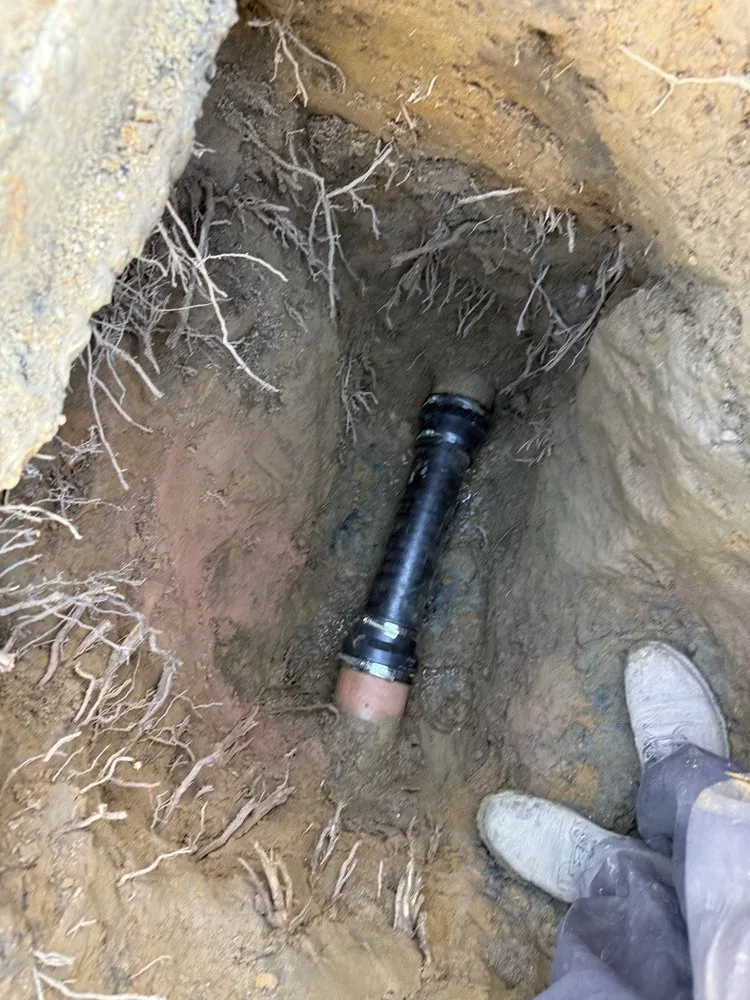 Slide of Handy Teddy