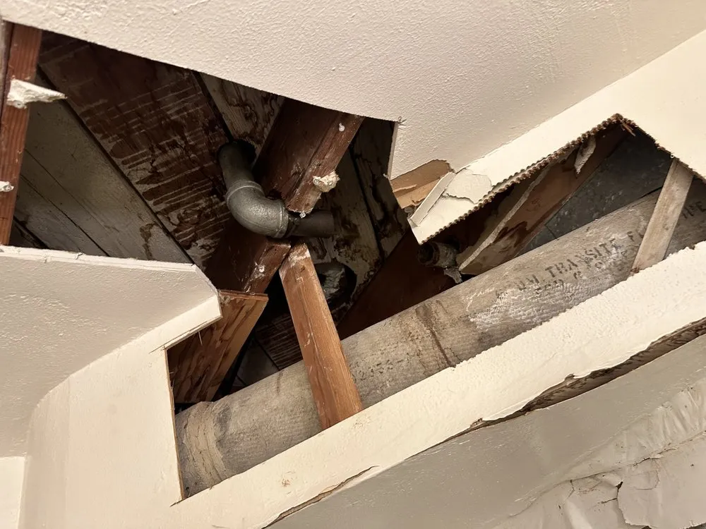 Slide of Handy Teddy