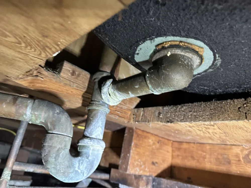 Slide of Handy Teddy