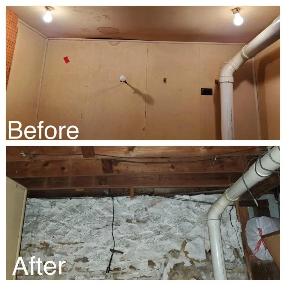 Slide of Handyman Bunjy