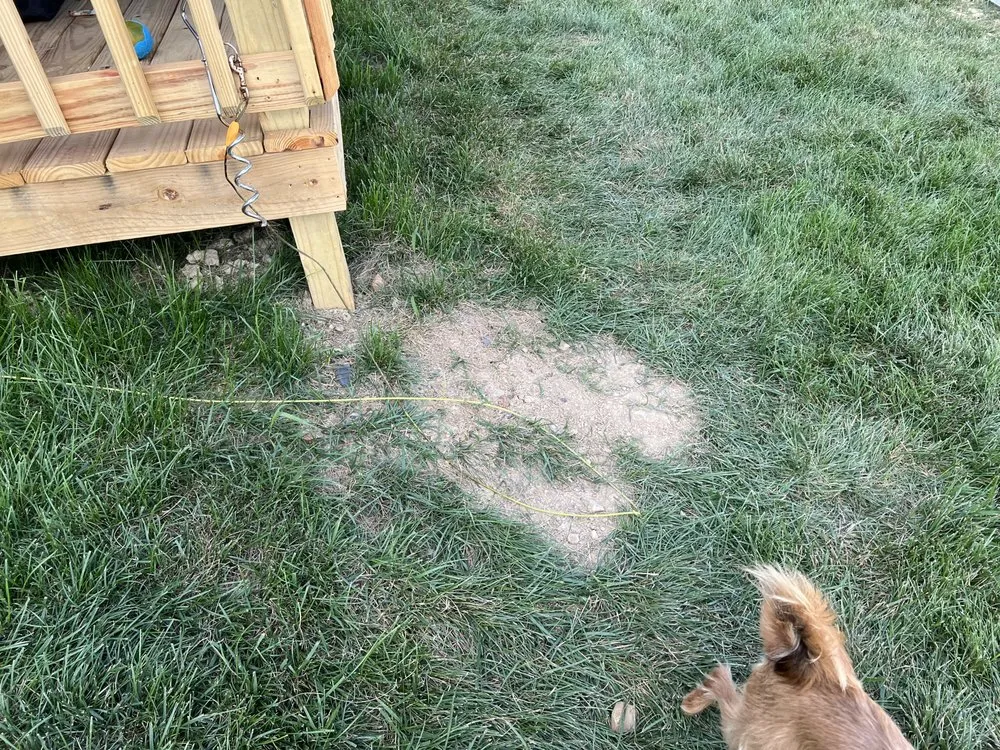 Expert drain cleaning for homes in Louisville, KY by Handyman Connection of Newburg