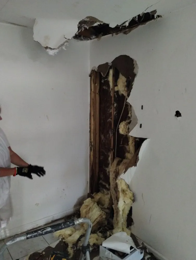 Slide of Handyman Express and Painting