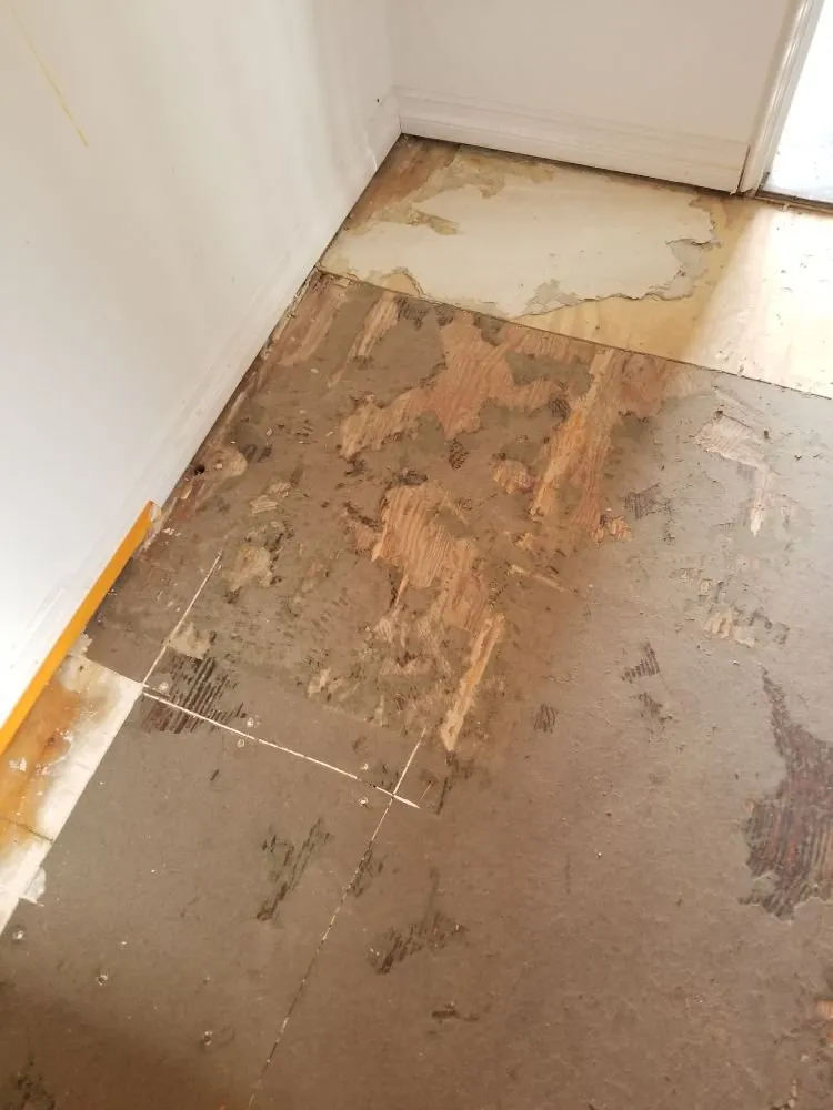 Slide of Handyman Extraordinaire