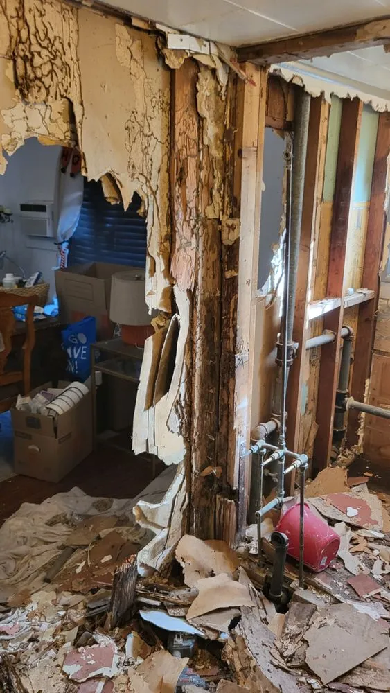 Slide of Handyman Frank and Son