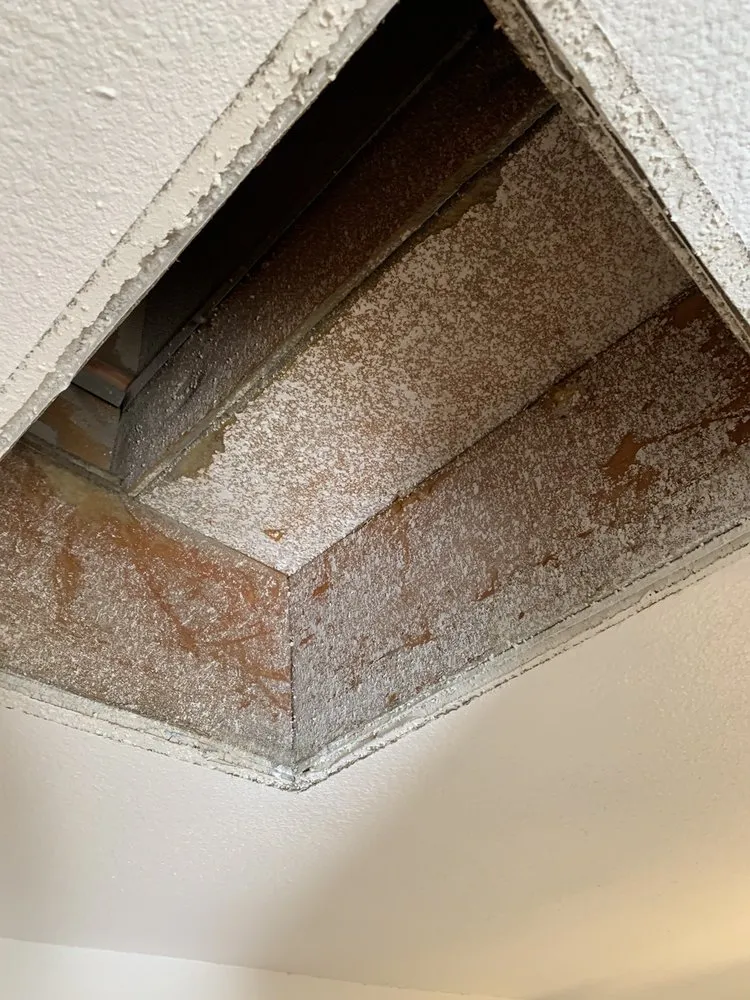 Slide of Handyman Greene