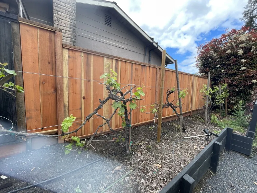 Slide of Handyman Gutierrez